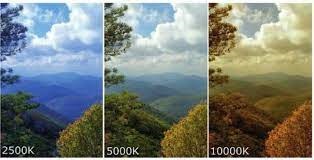 BrainPeakX - Image 3