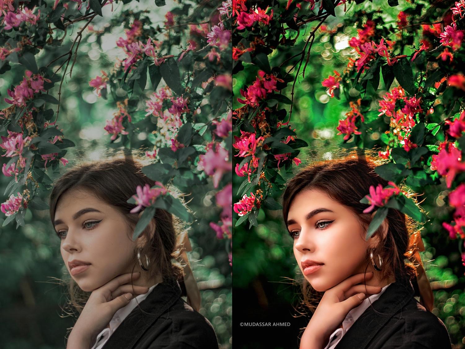 StudyPathX - Image 2